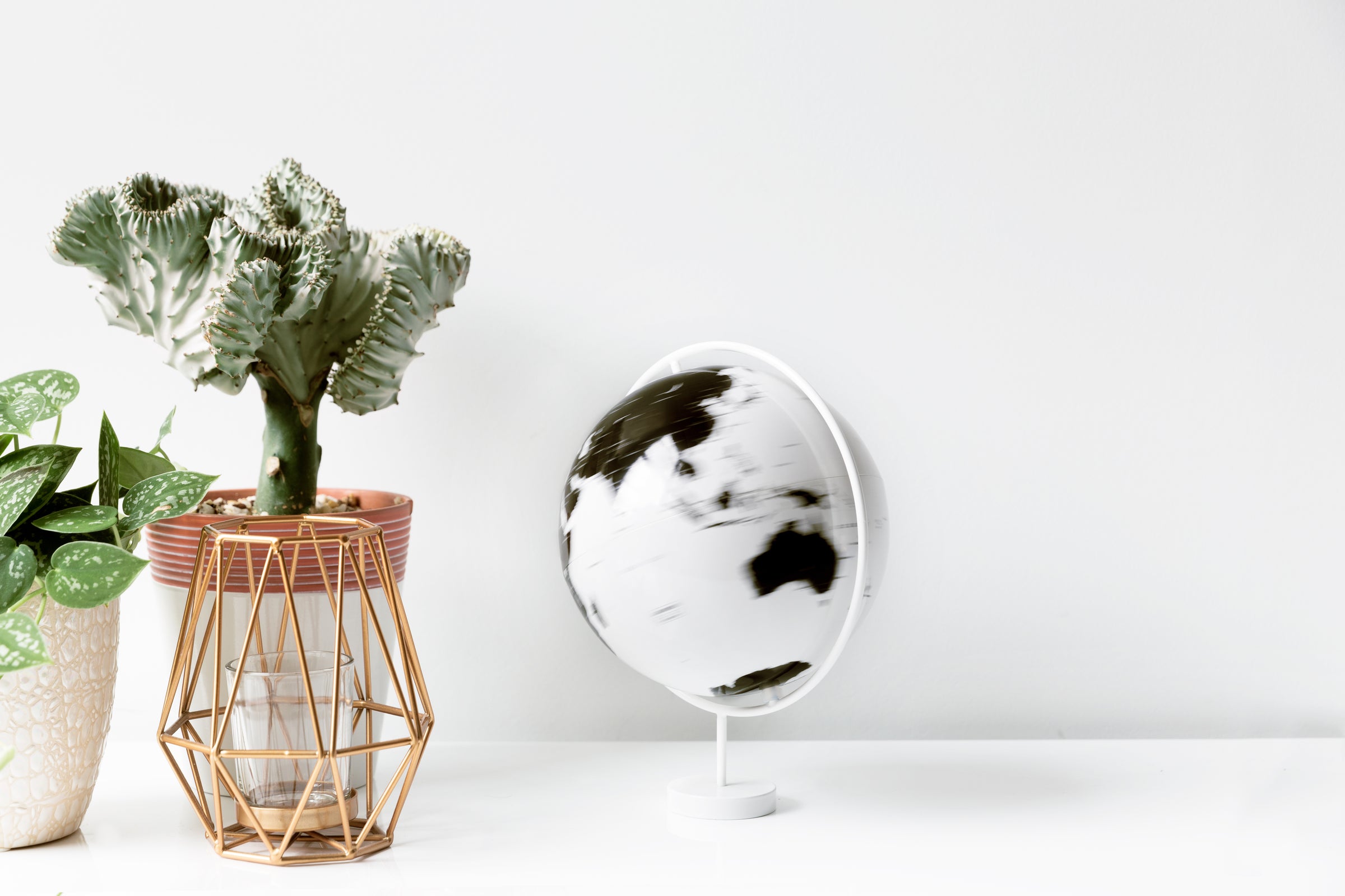 A globe and houseplants on a white surface.